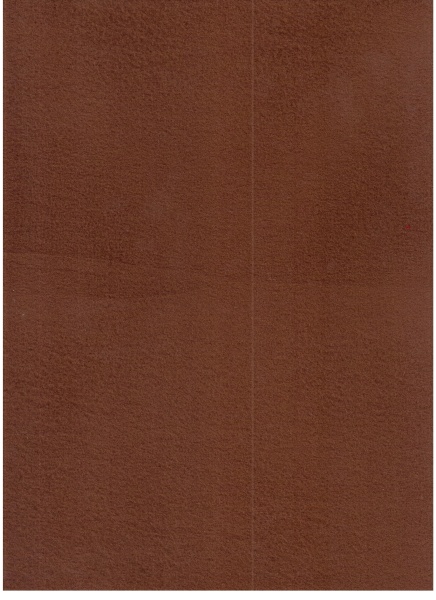 Флис ТФ019, 50*50 см, коричневый