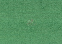 Флис ТФ009, 50*50 см, зеленый