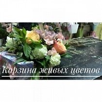Корзина с живыми цветами