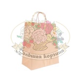 Сумка-крафт 28х24х14 см с кручеными ручками