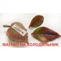 Как сделать магнит на холодильник/Магнит с термометром